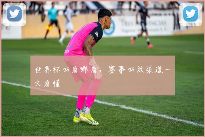 世界杯回看哪看,赛事回放渠道一文看懂